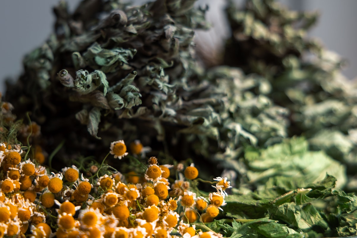 Natural supplements for men's health